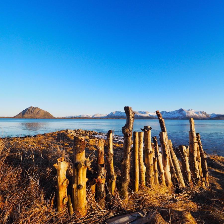 Eagle View Lofoten Bostad Exterior photo